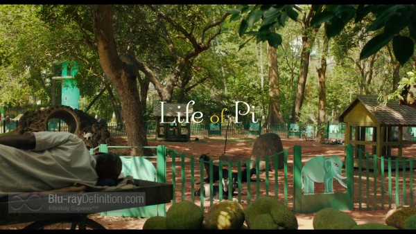 Life-of-Pi-3D-BD_01