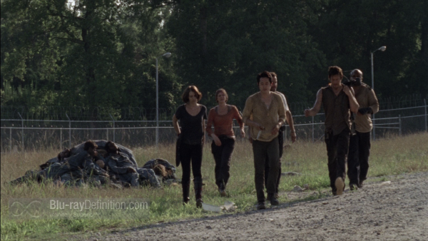 The-Walking-Dead-S3-BD_11