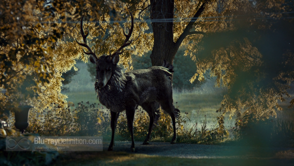 Hannibal-S1-BD_15