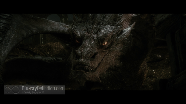 Hobbit-Desolation-of-Smaug-BD_22