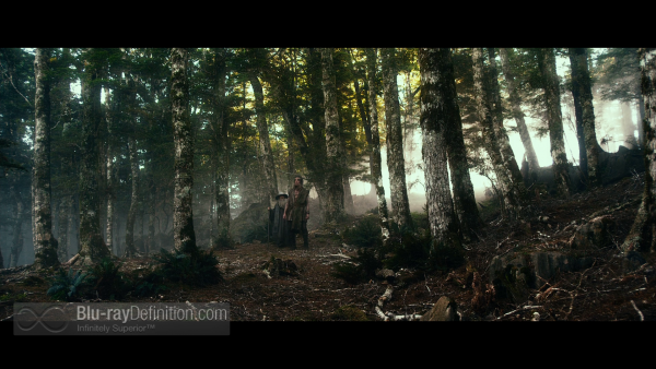 The-Hobbit-Desolation-of-Smaug-Extended-BD_04