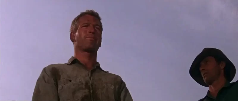 Paul Newman in Cool Hand Luke (1967)