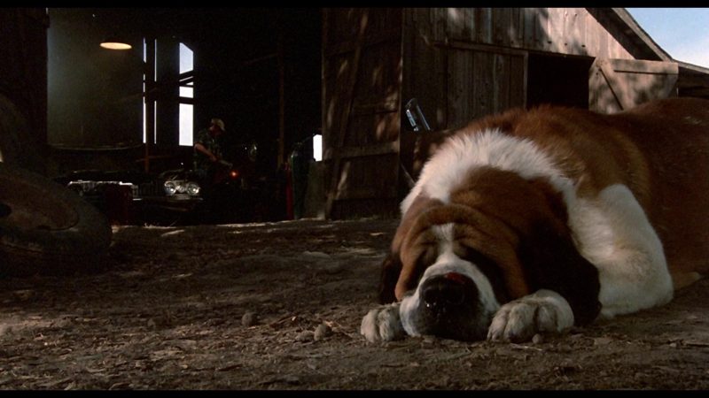 Cujo (1983)